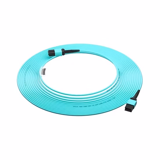 Om3 12 コア MPO/MTP